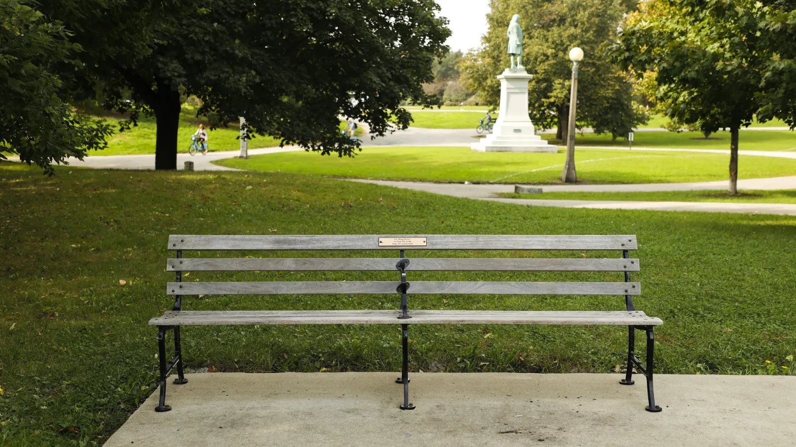 🌳 다이이치 커터 키이로 공원(중앙공원) 이미지 5